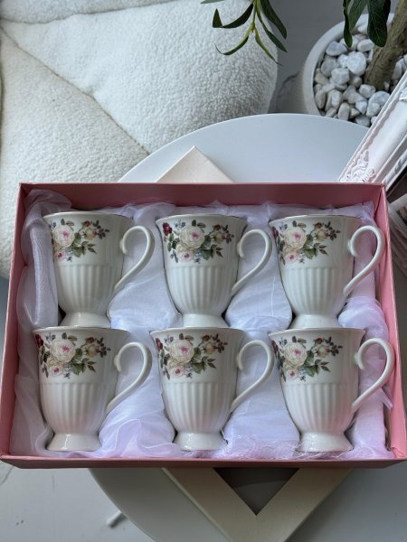 طقم مج مورد/6 <br> <span class='text-color-warm'>نفذت الكمية (Sold Out)</span>