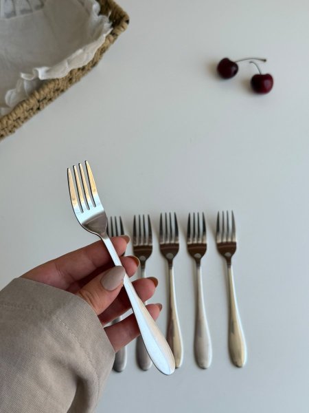 شوك ستانلس صغير / 6