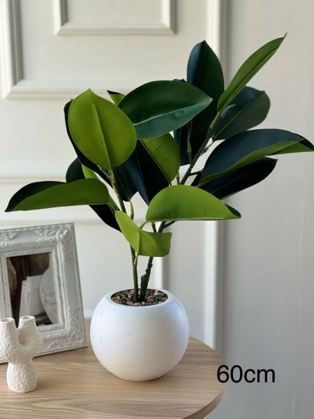 ورد مع قاعده