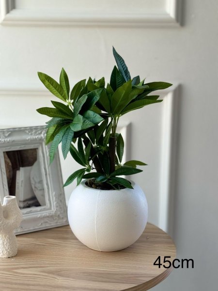 ورد مع قاعده